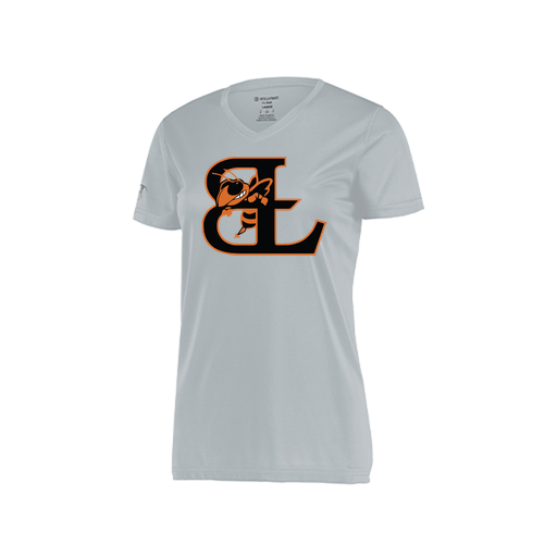 [222820.099.S-LOGO1] Ladies Movement Dri Fit Shirt (Female Adult S, Silver, Logo 1)